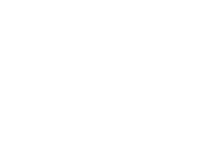 TNT Energy Drink
